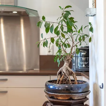 Le 38 Duplex Familial Le Boulou